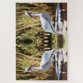 Puzzle Pélicans (Vertical)
