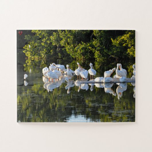Puzzle Pélicans de l'Île Sanibel Floride (Horizontal)