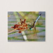 Puzzle Pelouse de berge et libellule (Horizontal)