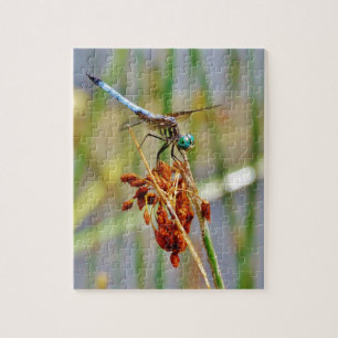 Puzzle Pelouse de berge et libellule