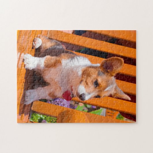 Puzzle Pembroke Welsh (Horizontal)