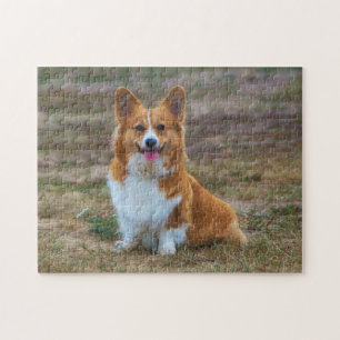 Puzzle Pembroke Welsh Corgi Puppy Dog