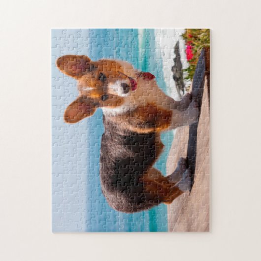 Puzzle Pembroke Welsh Corgi puppy standing on table (Vertical)