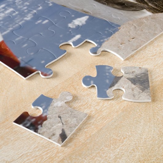 Puzzle Penguin Gentoo (Côté)