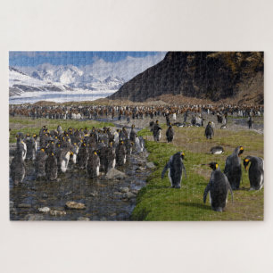 Puzzle Penguins et montagnes du roi de Géorgie du Sud