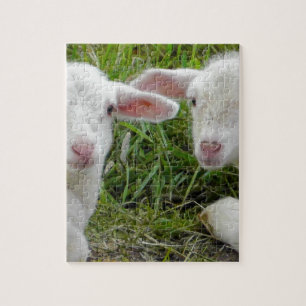 Puzzle Pensée animale de bébé jumeau d'agneau à vous