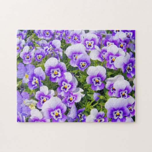 Puzzle Pensées violettes (Horizontal)