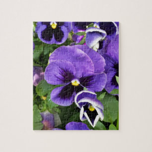 Puzzle pensées violettes
