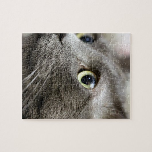 Puzzle Penser (Horizontal)