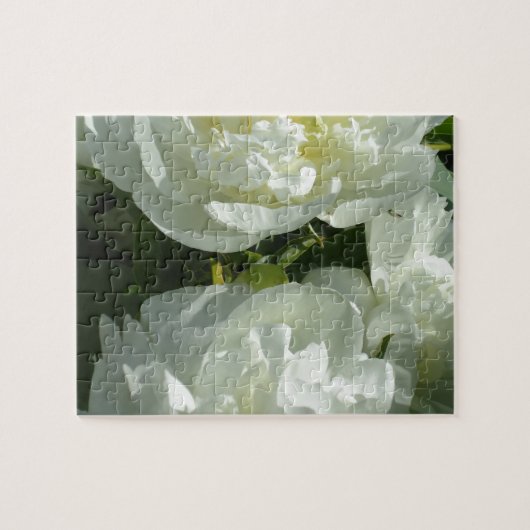Puzzle Peonies blanches (Horizontal)