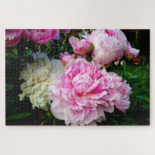 Puzzle Peonies roses et blanches - élégante photo florale (Horizontal)