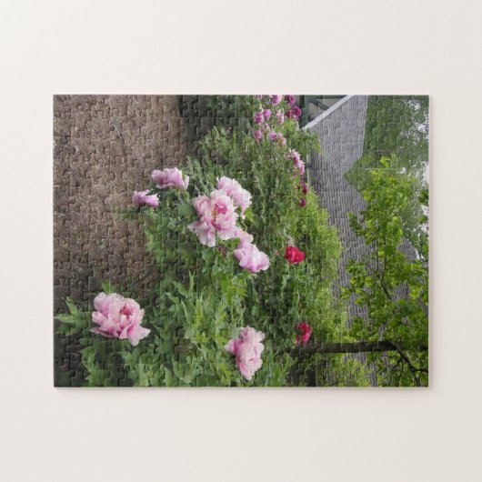 Puzzle Peony Garden (Horizontal)