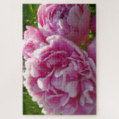Puzzle Peony rose | gîte ferme jardin fleuri (Vertical)