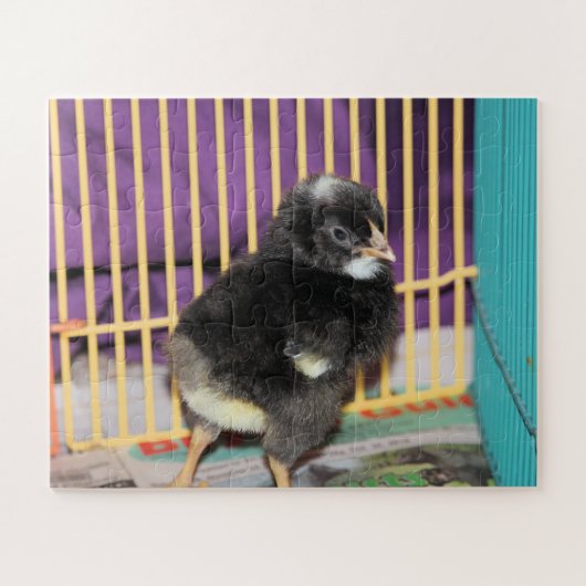 Puzzle Pep (Horizontal)