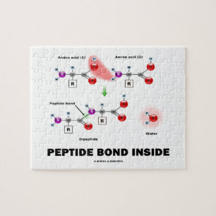 Puzzle Peptide Bond à l'intérieur des molécules chimiques