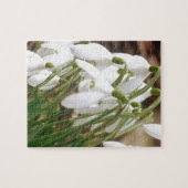 Puzzle Perce-neiges renversantes (Horizontal)