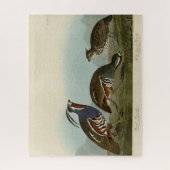 Puzzle Perdrix en peluche et à pattes épaisses - Audubon' (Vertical)