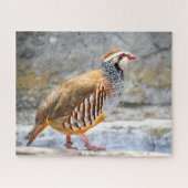 Puzzle Perdrix sauvage (Horizontal)