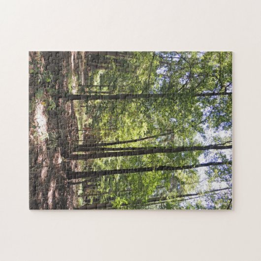 Puzzle perdu Acres Jigsaw (Horizontal)