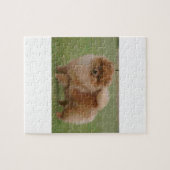 Puzzle Perfection de Pomeranian, (Horizontal)