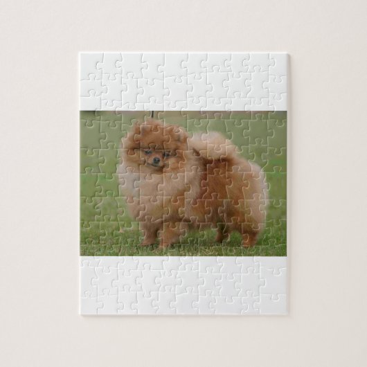 Puzzle Perfection de Pomeranian, (Vertical)
