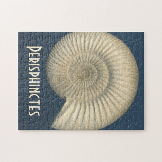 Puzzle Perisphinctes Ammonite (Horizontal)