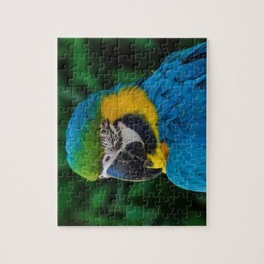 Puzzle Perroquet bleu et or macaw (Vertical)