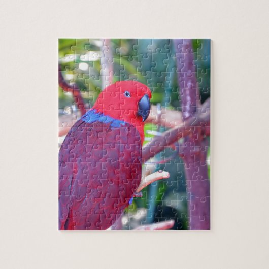 Puzzle Perroquet coloré d'eclectus (Vertical)