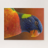Puzzle Perroquet coloré Vibrant Oiseau tropical (Horizontal)
