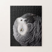 Puzzle Perroquet de gris africain (Vertical)