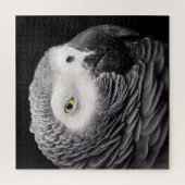 Puzzle Perroquet de gris africain (Vertical)