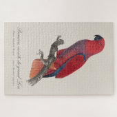 Puzzle Perroquet éclectus de Vosmaer, Eclectus Roratus Vo (Horizontal)