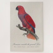 Puzzle Perroquet éclectus de Vosmaer, Eclectus Roratus Vo (Vertical)