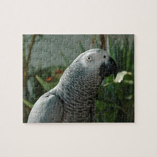 Puzzle Perroquet fini de gris africain (Horizontal)