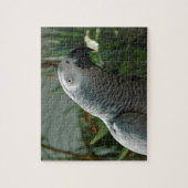 Puzzle Perroquet fini de gris africain (Vertical)
