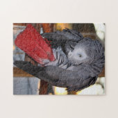 Puzzle Perroquet flexible de gris africain du Congo avec (Horizontal)
