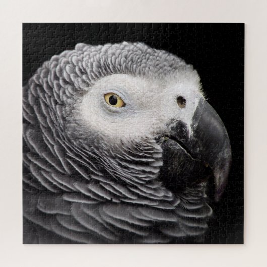 Puzzle Perroquet Gris Africain (Horizontal)