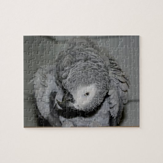 Puzzle Perroquet gris africain Oiseau soyeux (Horizontal)