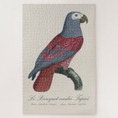 Puzzle Perroquet Gris du Congo Psittacus Erithacus Facteu (Vertical)