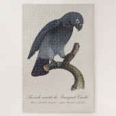 Puzzle Perroquet gris Timneh, Psittacus Timneh (Vertical)
