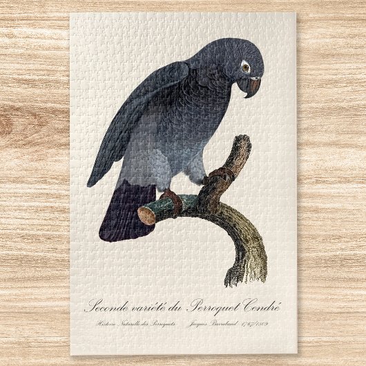 Puzzle Perroquet gris Timneh, Psittacus Timneh