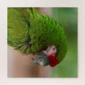 Puzzle Perroquet macaw dynamique en mode Profil (Horizontal)