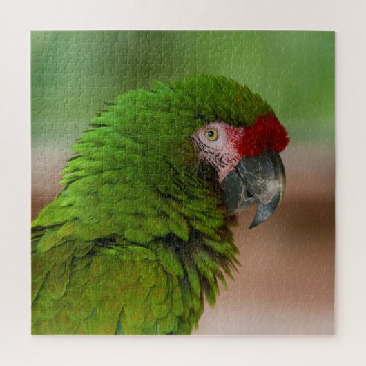Puzzle Perroquet macaw dynamique en mode Profil (Vertical)