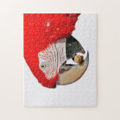 Puzzle Perroquet macaw rouge avec arachide (Vertical)