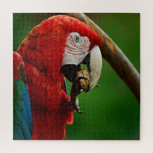 Puzzle Perroquet rouge tropical (Vertical)