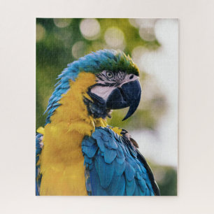 Puzzle Perroquet tropical macaw bleu et jaune