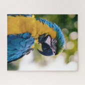 Puzzle Perroquet tropical macaw bleu et jaune (Horizontal)