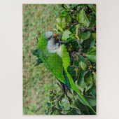 Puzzle Perroquet vert (Vertical)