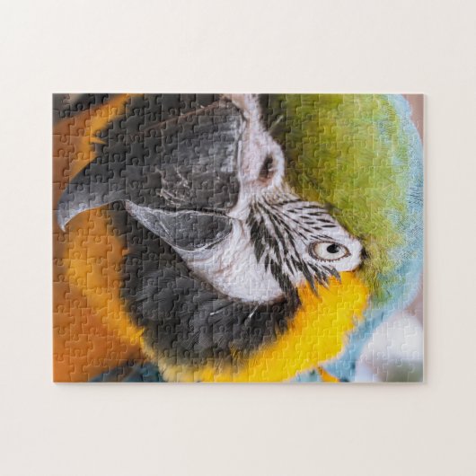 Puzzle Perroquet vert, bleu et jaune (Horizontal)
