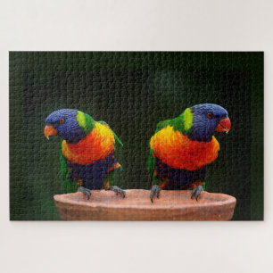 Puzzle Perroquets de Lorikeet d'arc-en-ciel